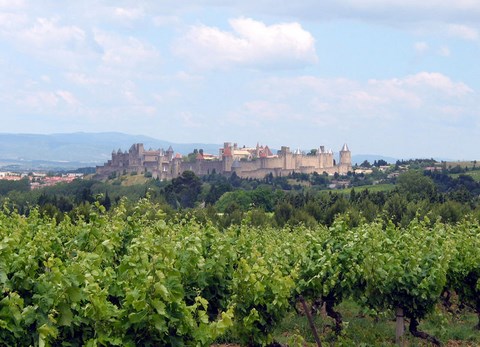 Carcassonne et ses vignobles - 46 - Languedoc Roussilon