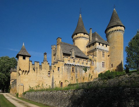 Château de Puymartin -  Aquitaine - Dordogne