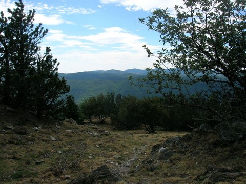 Les Cévennes,vue du mont Aigual - Gard - Languedoc-Roussillon