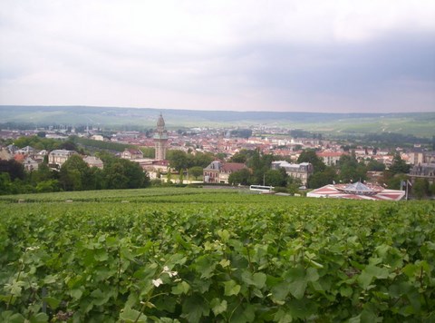 Epernay et ses vignobles - Marne - Champagne ardennes