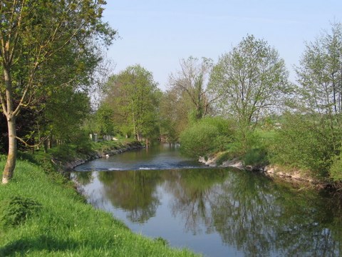 Rives de l'Ognon, près de Lure - Haute Saône - Franche Comté