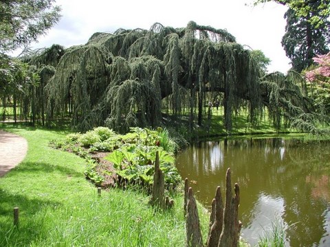 Chatenay Malabris, arboretum de la vallée des loups - Hauts de Seine - Ile de France