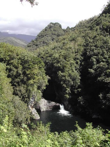 Rivière des Roches, près de St Benoit - Ile de la Réunion