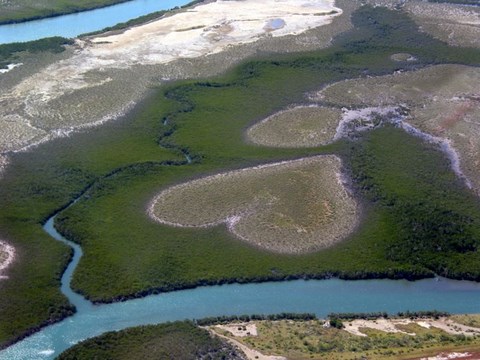 Le coeur de Voh, mangrove - Nouvelle Calédonie