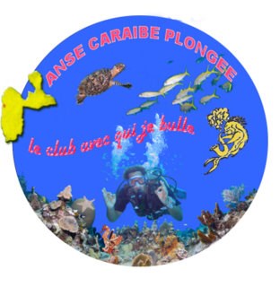 club plongee - Guadeloupe